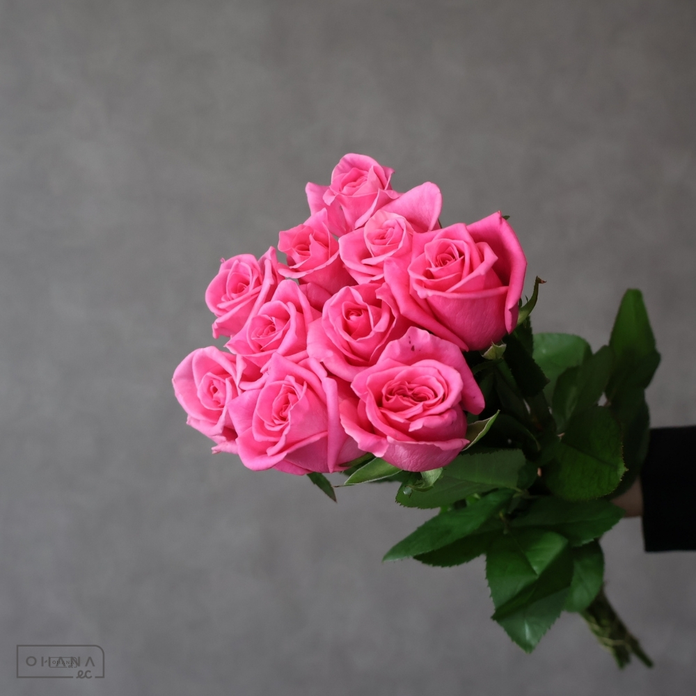 バラピンク　ピンクレディブル　 40cm