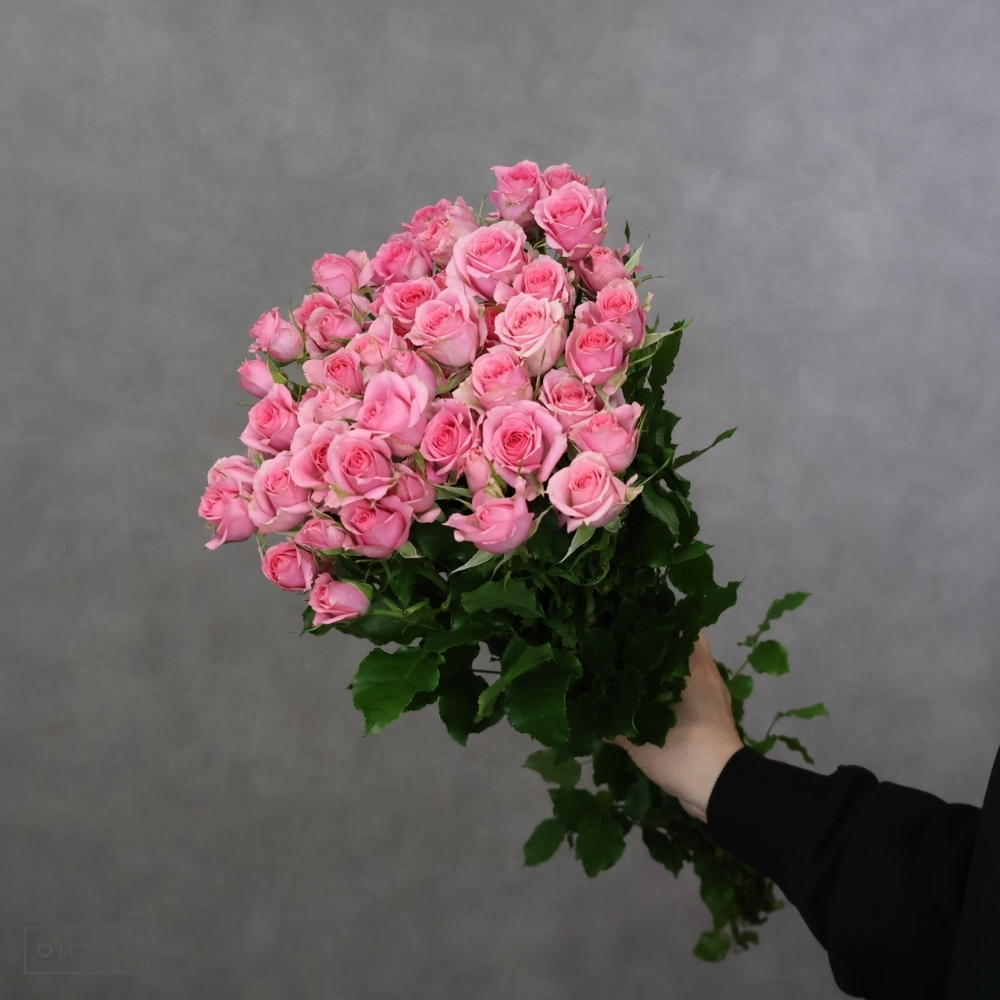 ＳＰバラ　ピルエット　秀 70cm 