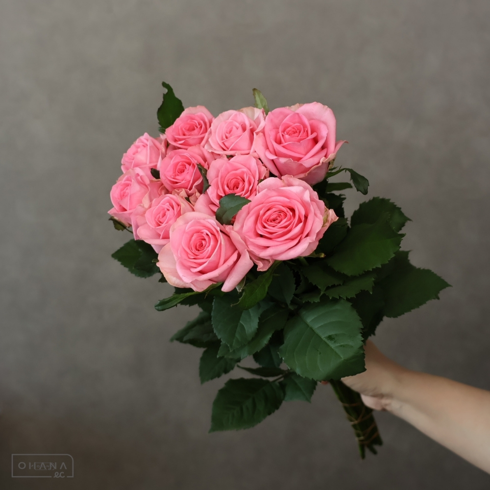 バラピンク　ピンクダイヤモンド　 60cm 