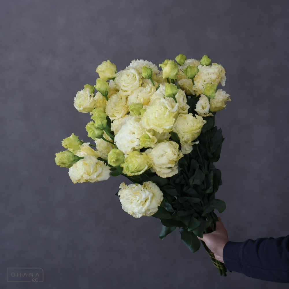 トルコキキョウ　ジュリアスイエロー　秀 ４輪 70cm