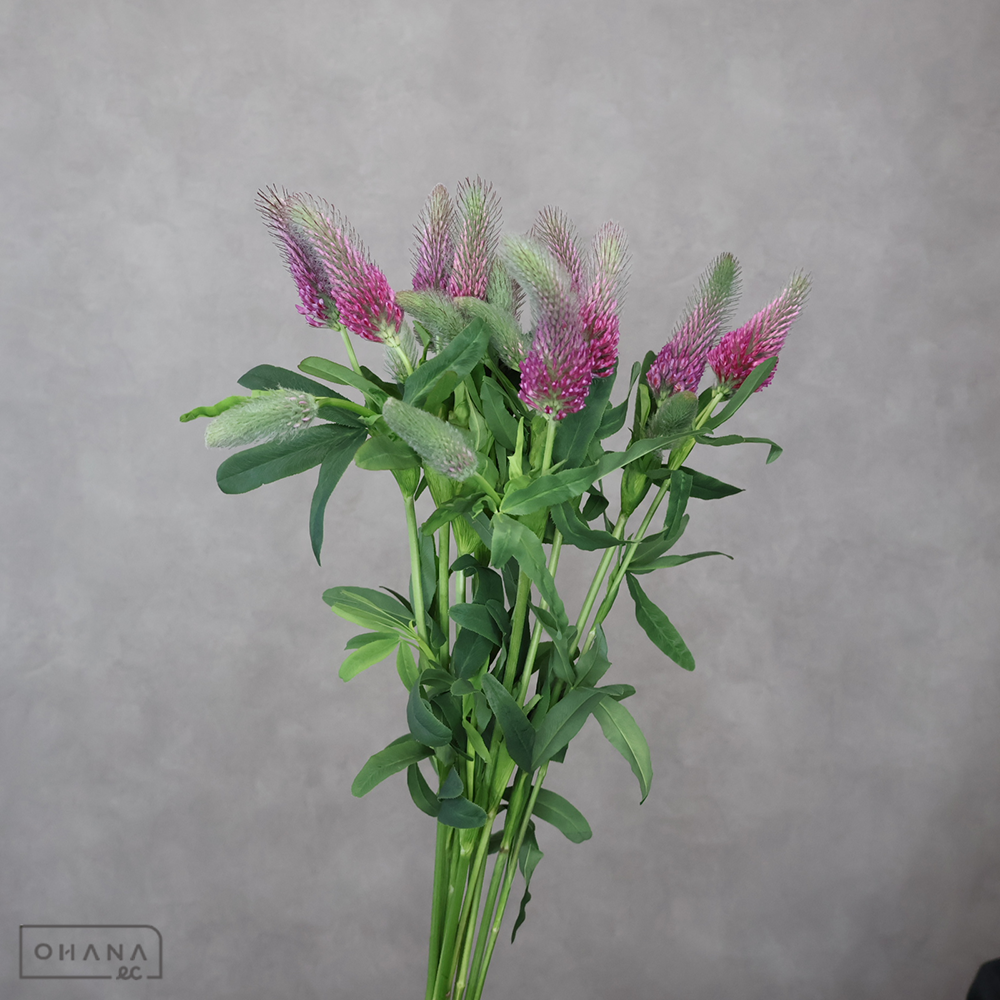 ストロベリーキャンドル　ツインキャンドル　 40cm