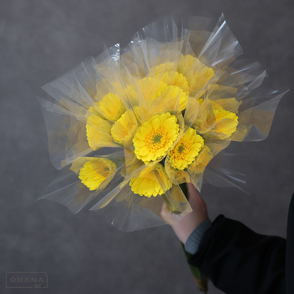 ガーベラ　リモネケーキ　 