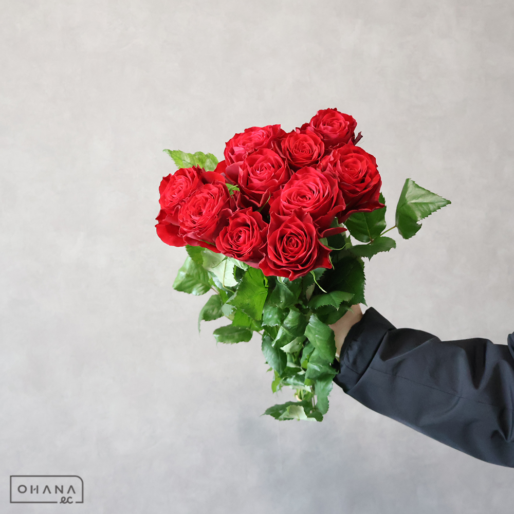 バラ赤　アマダ 秀 50cm