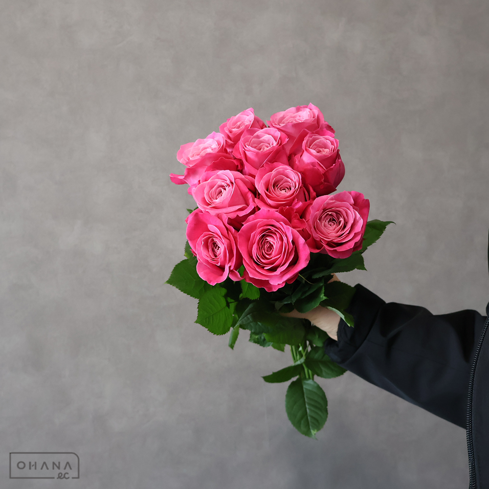 【SALE】　バラピンク　オール４ラブ　秀 50cm　※クレーム対象外