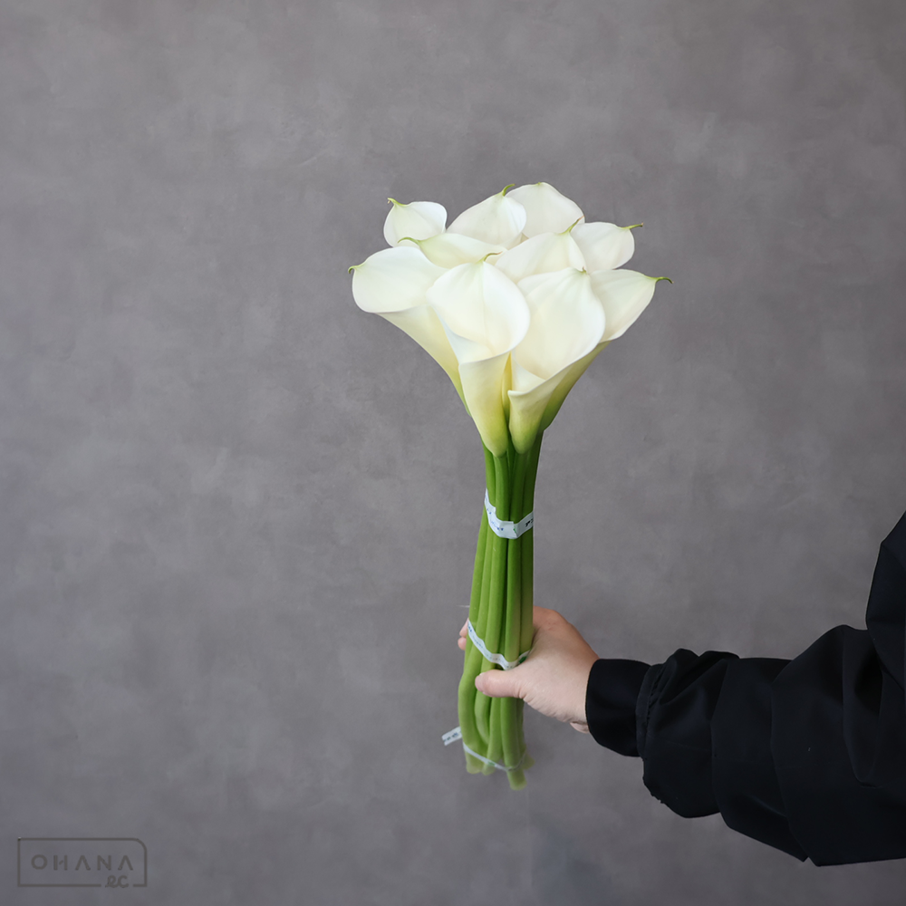 【SALE】カラー　アンナ　秀 60cm　※クレーム対象外