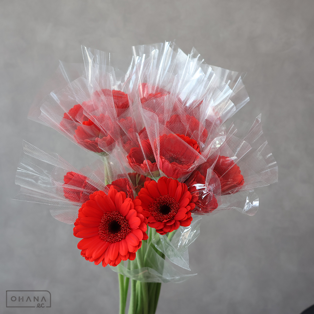 ガーベラ　スリ  