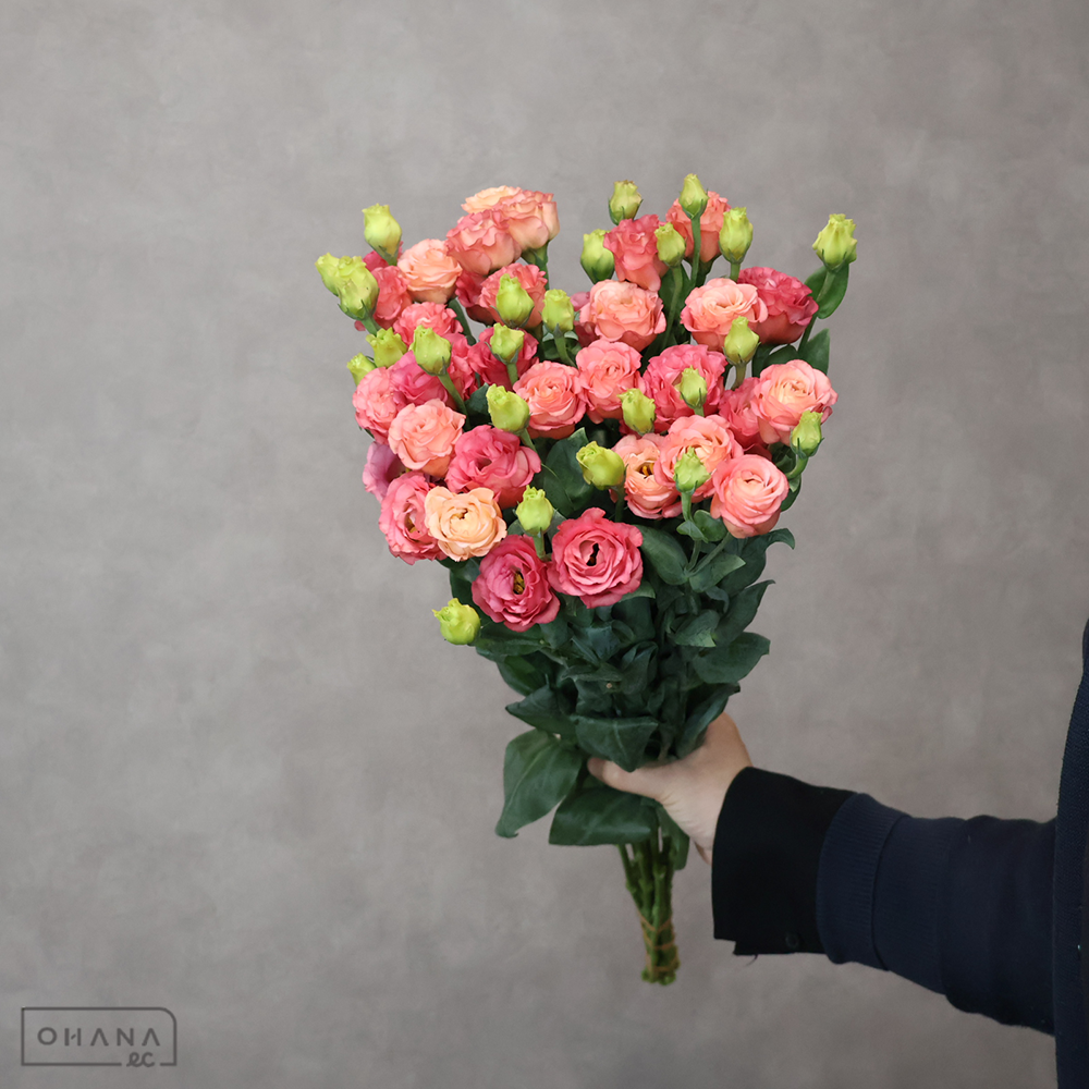 トルコキキョウ　小夏オレンジ　 70cm 3輪～