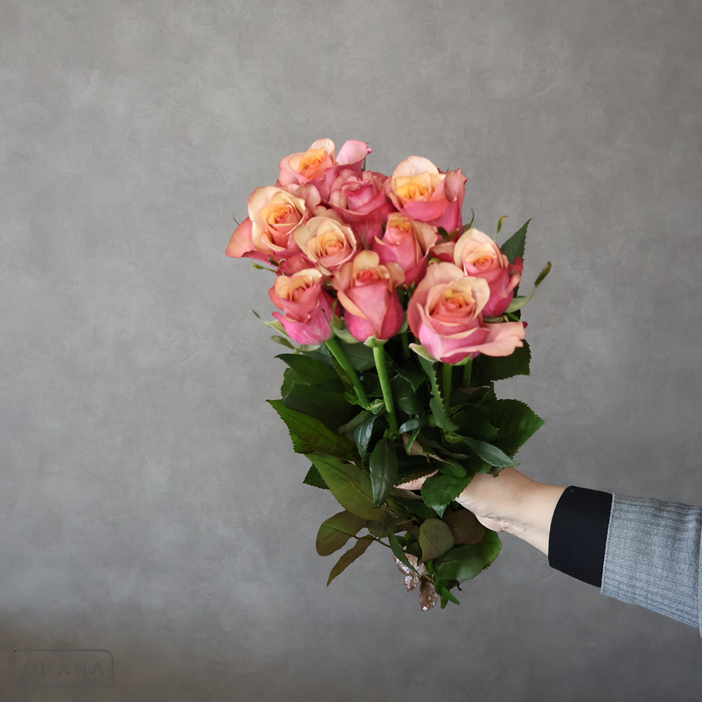 【SALE】バラ　ヴィンテージ　秀 50-40 　※クレーム対象外