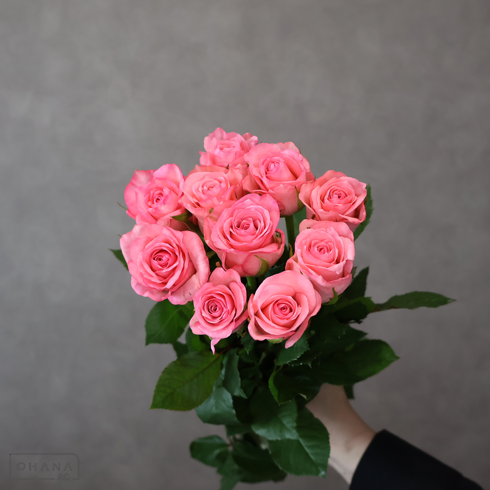 バラピンク　プリンセスメグ　 65cm 