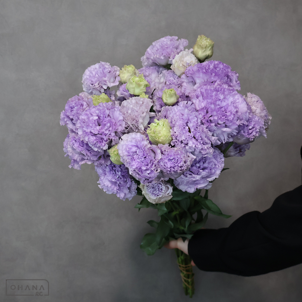 トルコキキョウ　プリマラベンダー　秀 ２輪 70-60cm