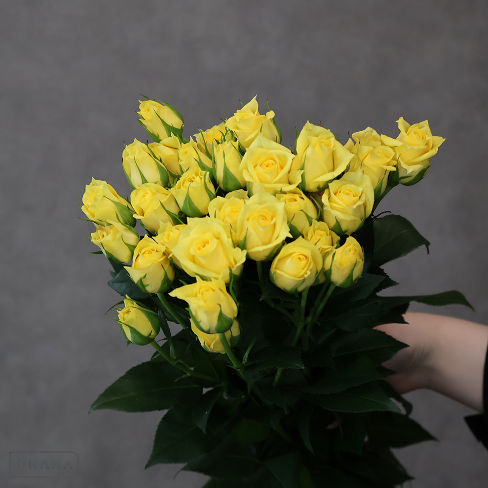 Ｓバラ　エッグタルト　秀 70cm