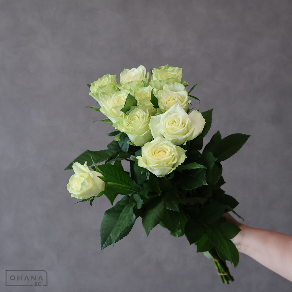 バラ　ミントティー ※15本束　 40cm 