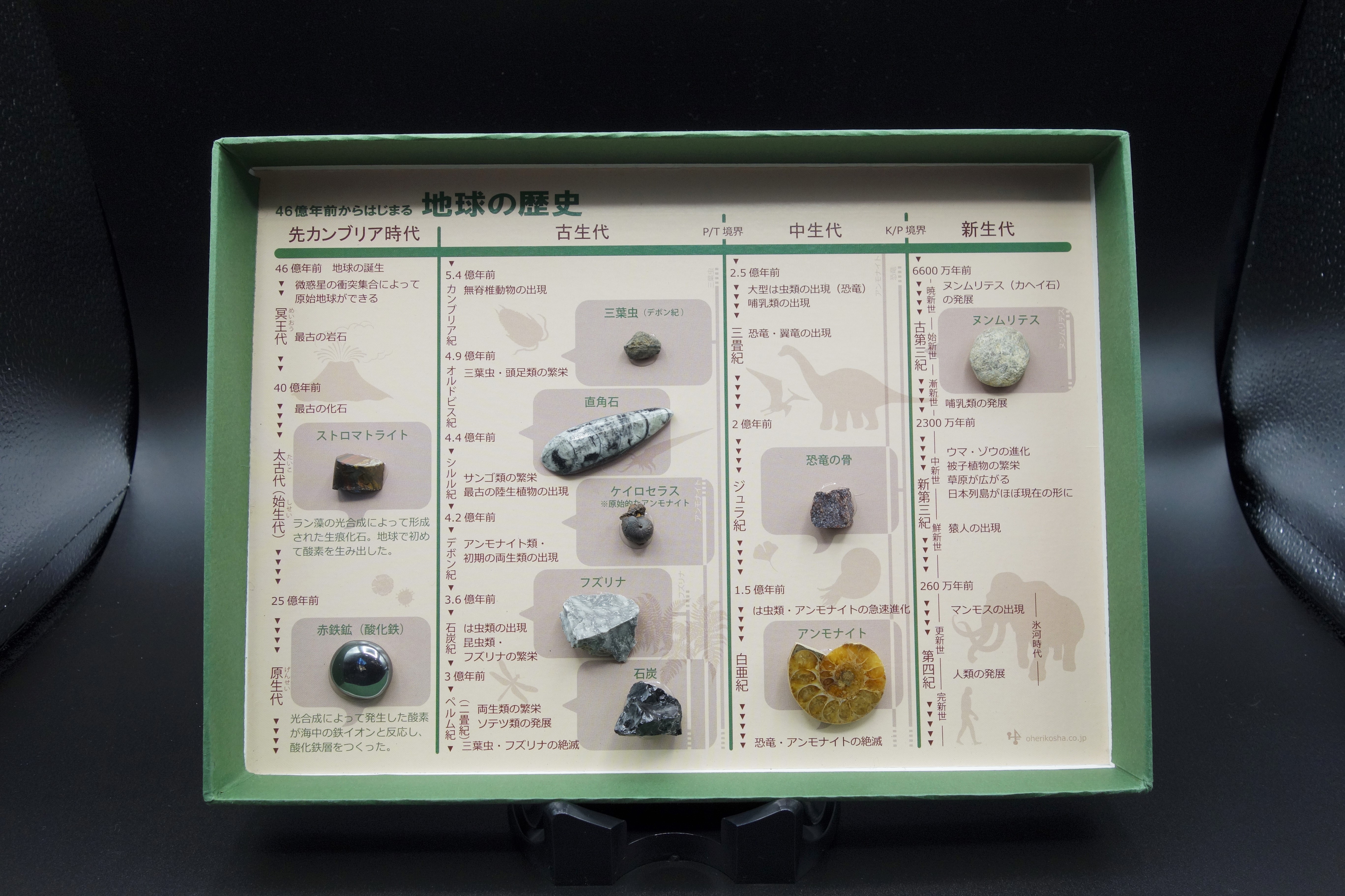 ブック型標本/地質年代標本「地球の歴史」