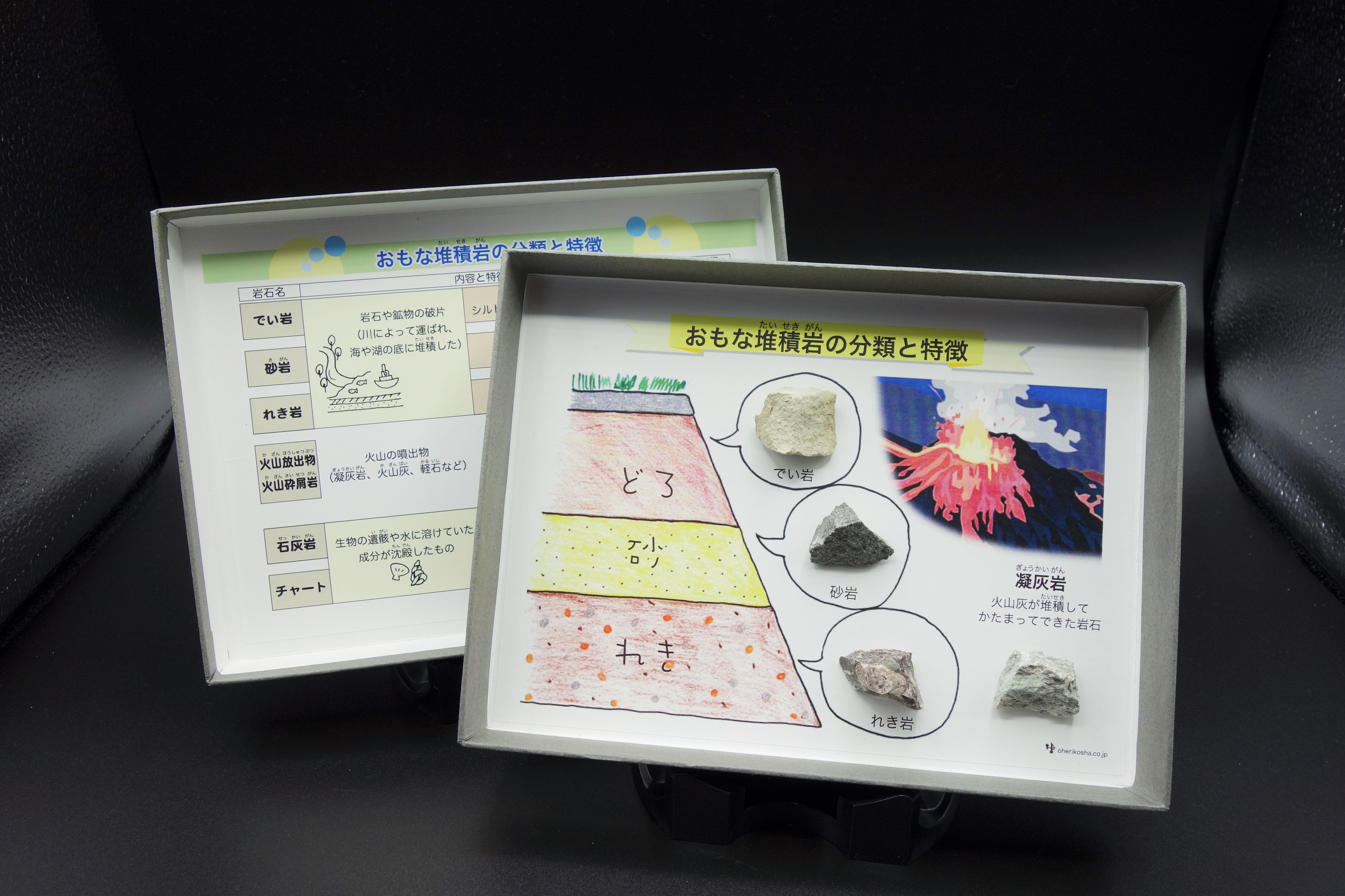 ブック型標本/おもな堆積岩