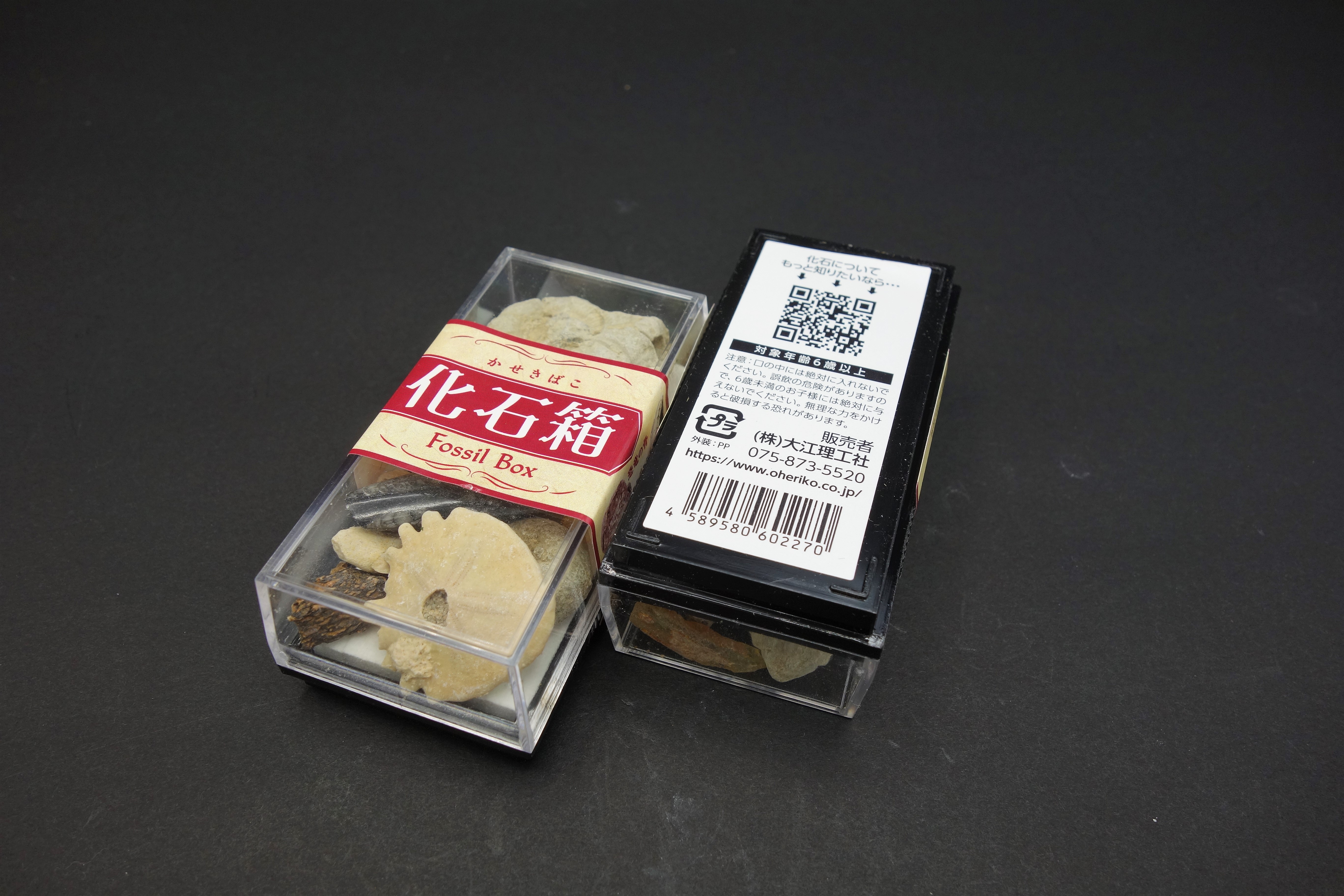 化石商品/化石箱