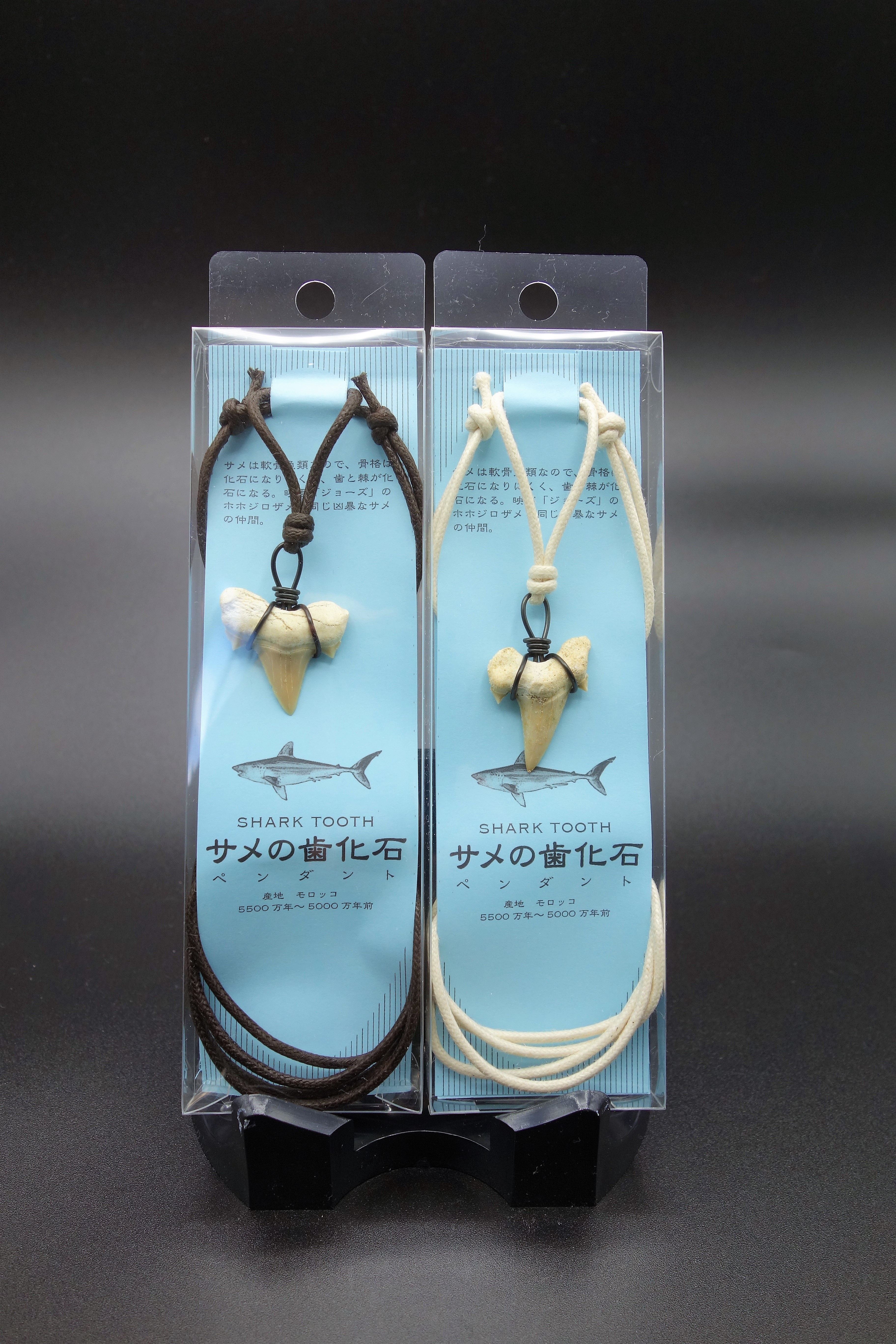化石商品/サメの歯ペンダント