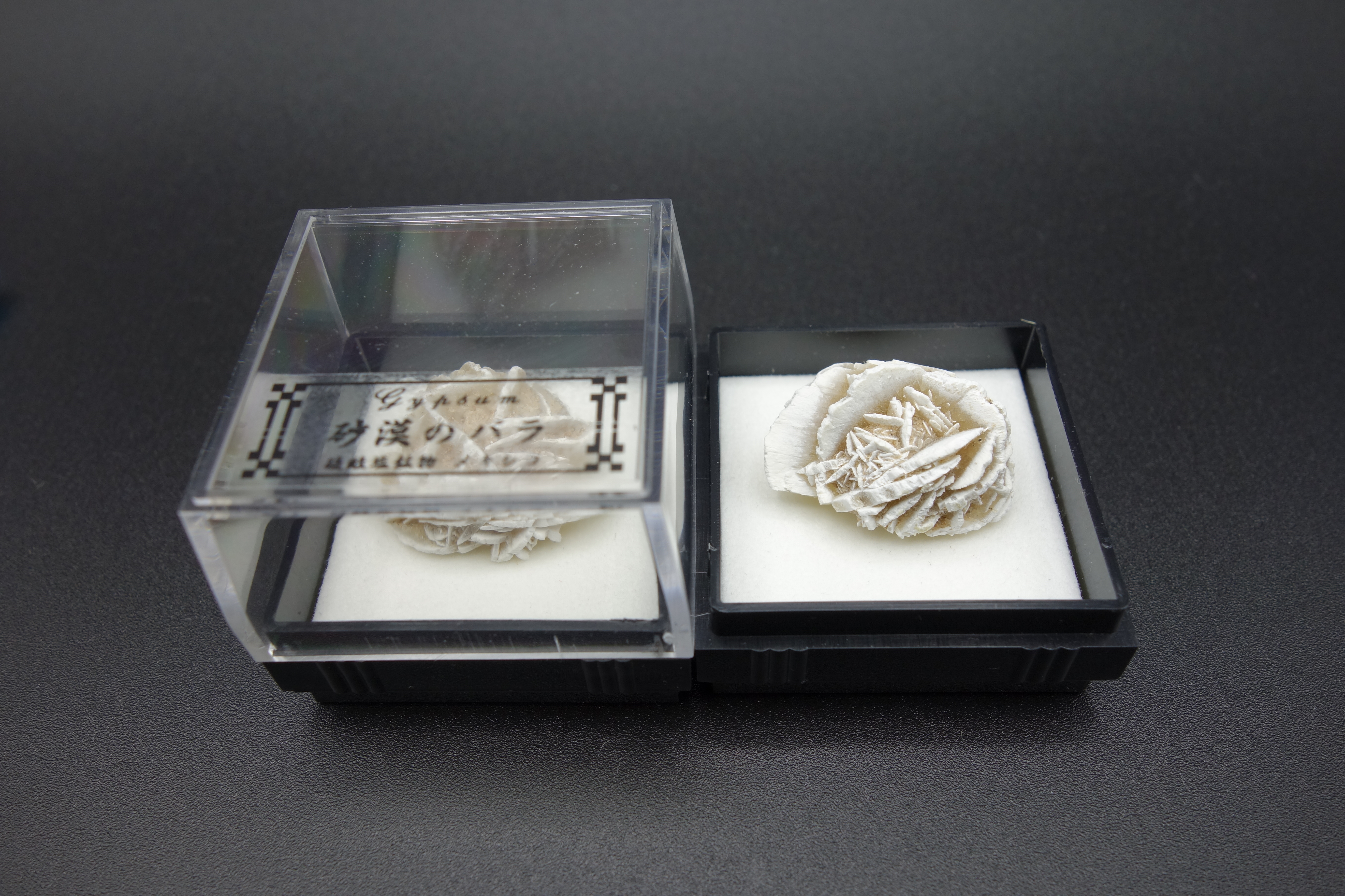 四角ケース鉱物/砂漠のバラ