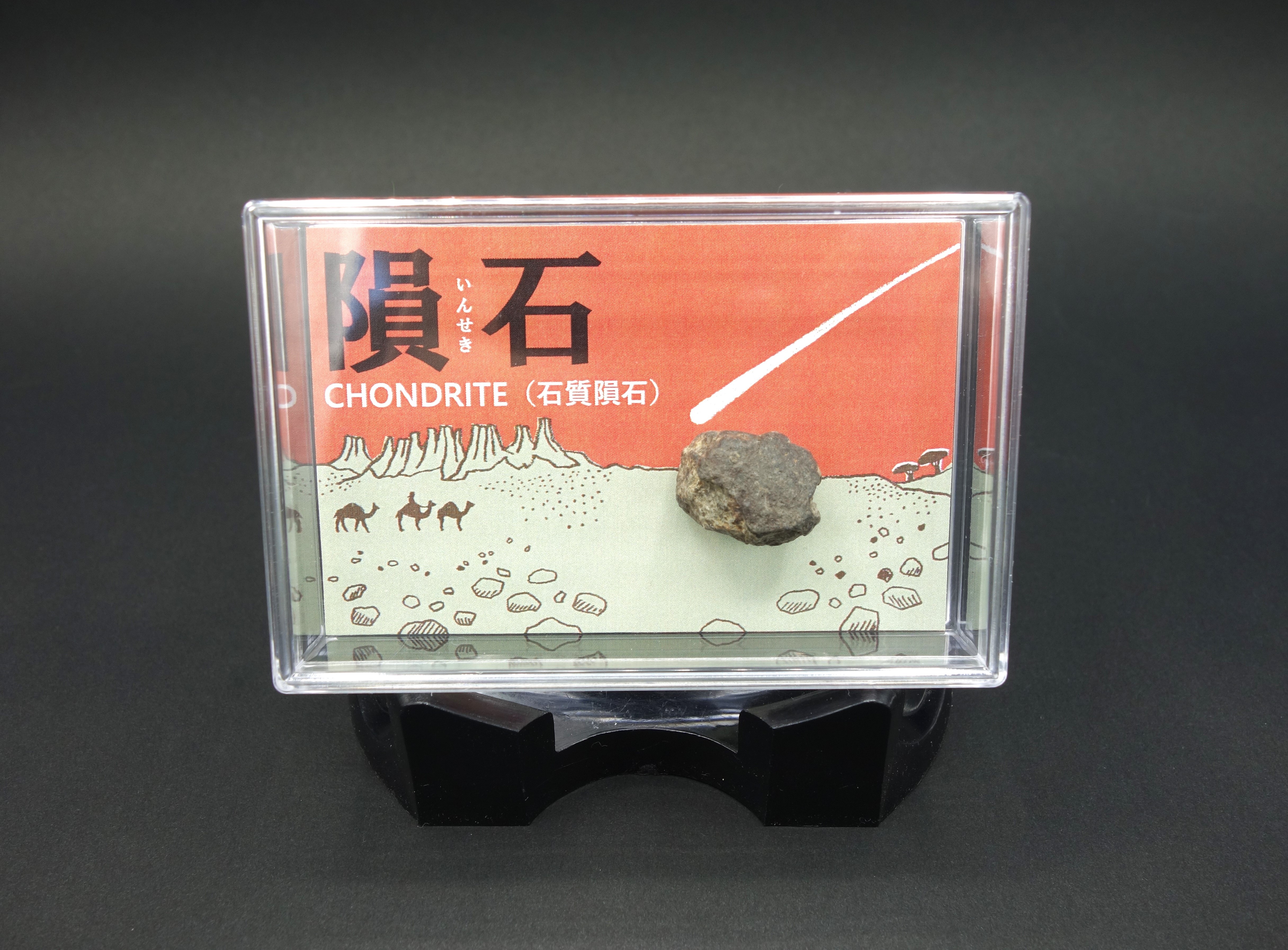 スチロールケース入り/石質隕石コンドライト