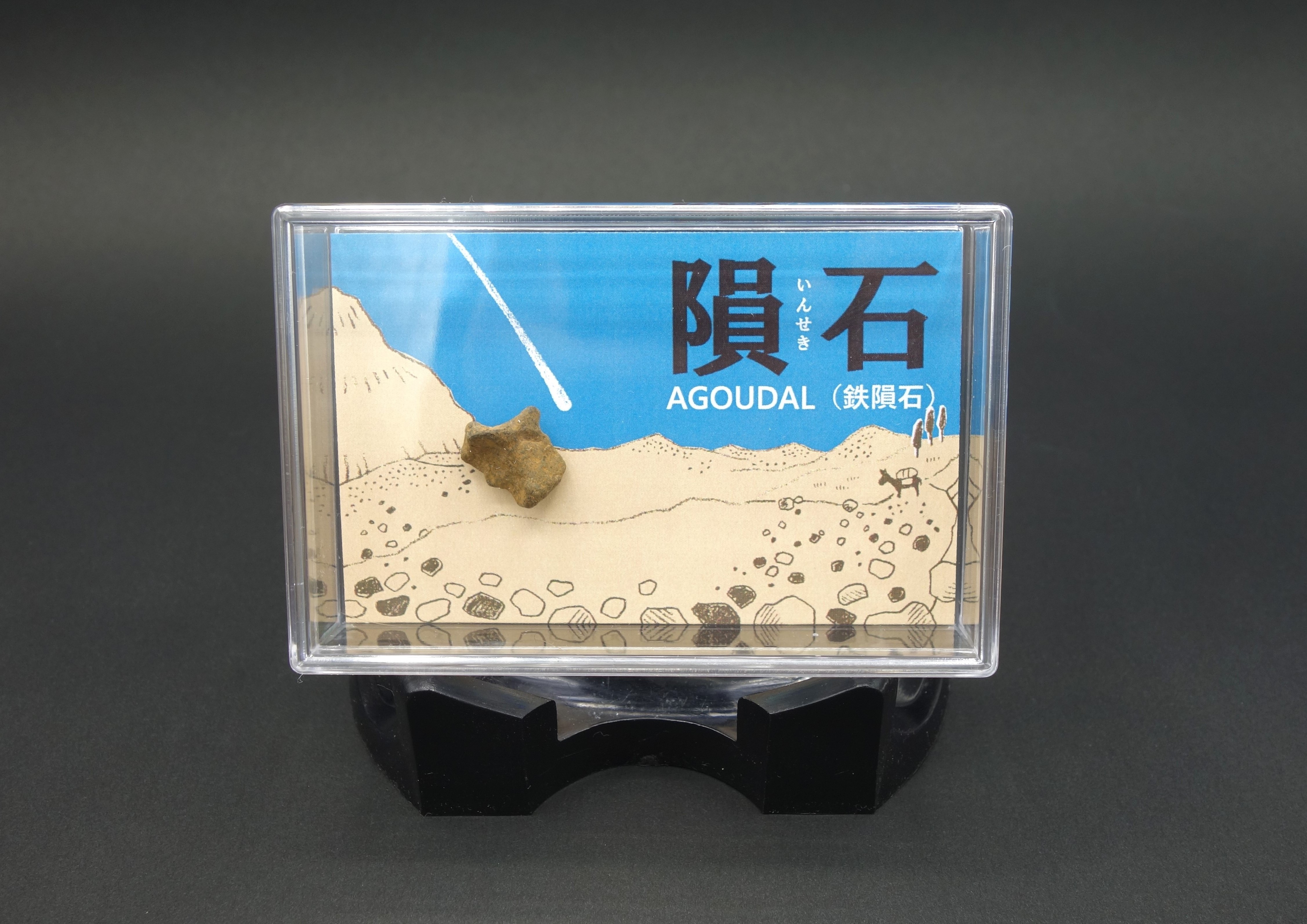 スチロールケース入り/鉄隕石アゴーダル