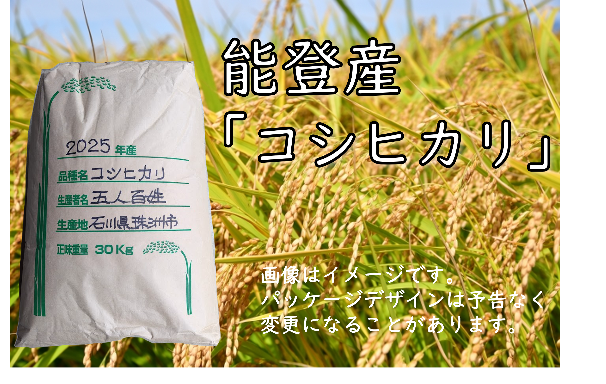 能登産「能登ひかり」｜農家直送米｜業務用・卸売対応｜五人百姓