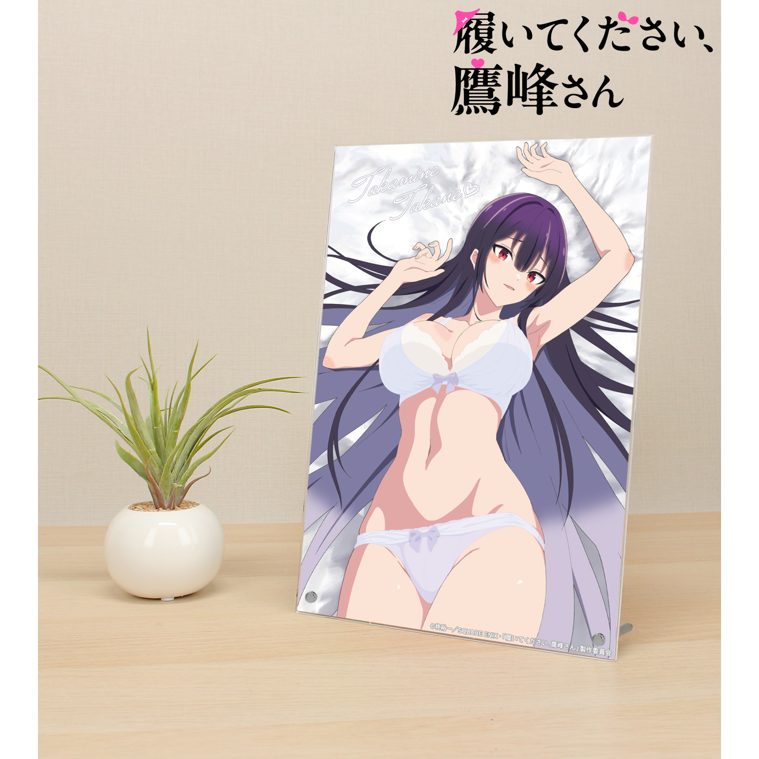 TVアニメ『履いてください、鷹峰さん』 鷹峰高嶺 A4アクリルパネル