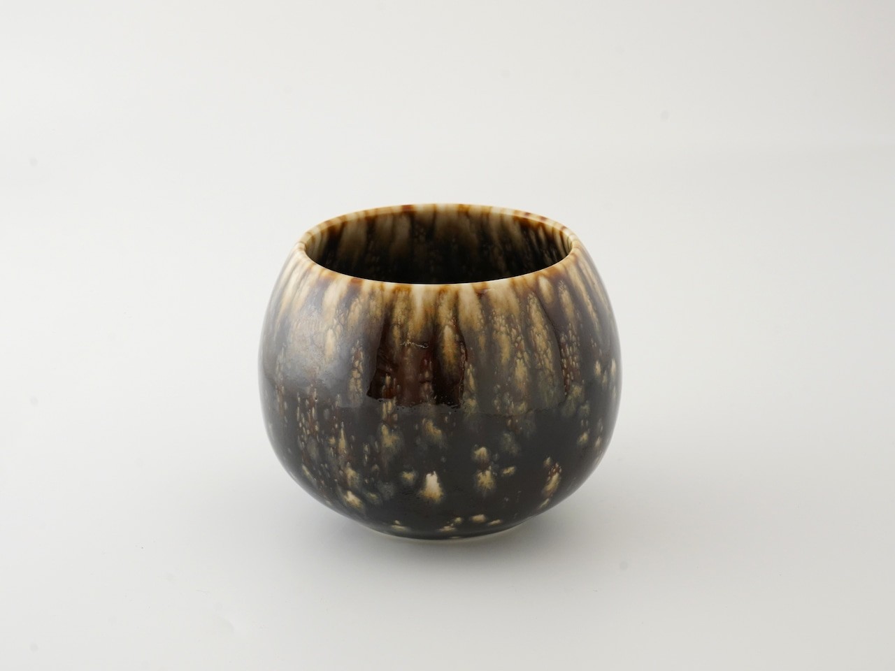 流星　アースカップ