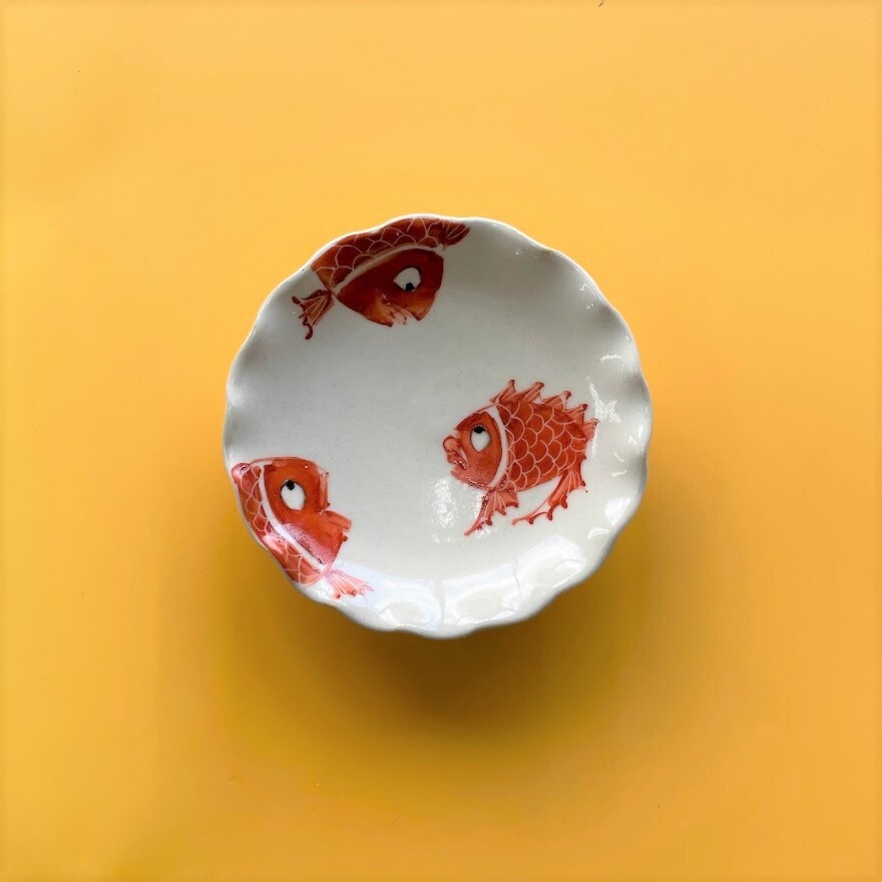 粉引錦鯛尽くし　波渕手作り手塩皿
