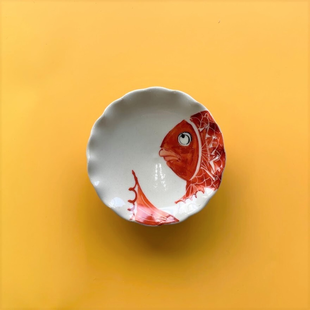 粉引錦鯛　波渕手作り手塩皿