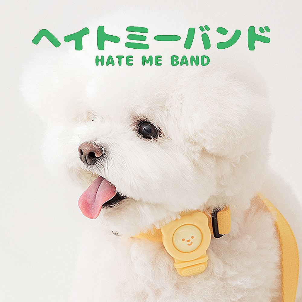 BITE ME ヘイトミーバンド