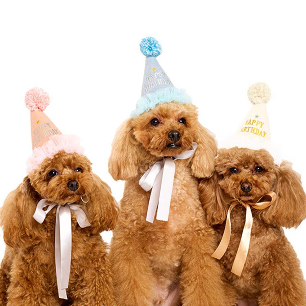 ライフライク プレシャスバースデーハット