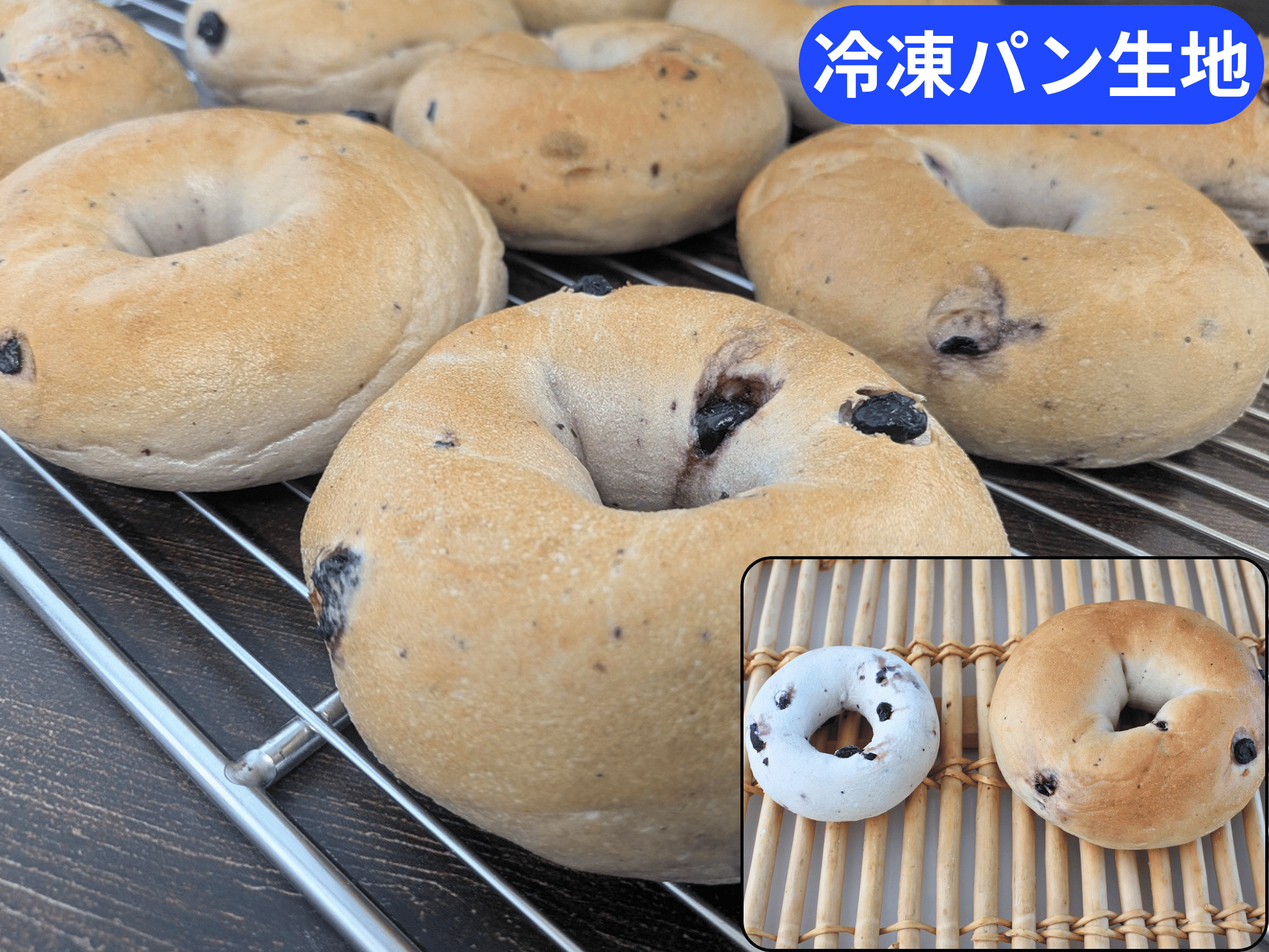 ブルーベリーベーグルＮ