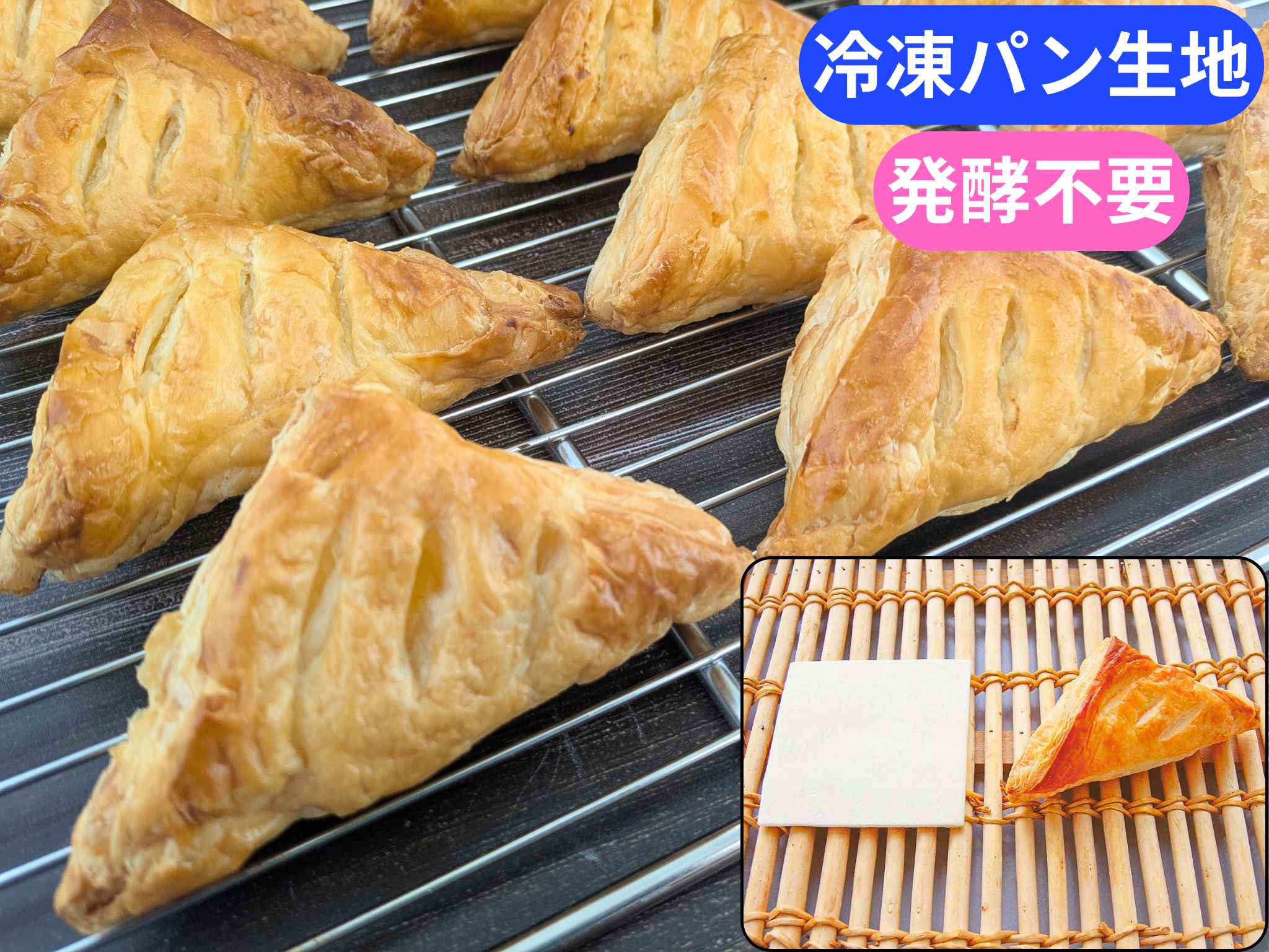 パイシート