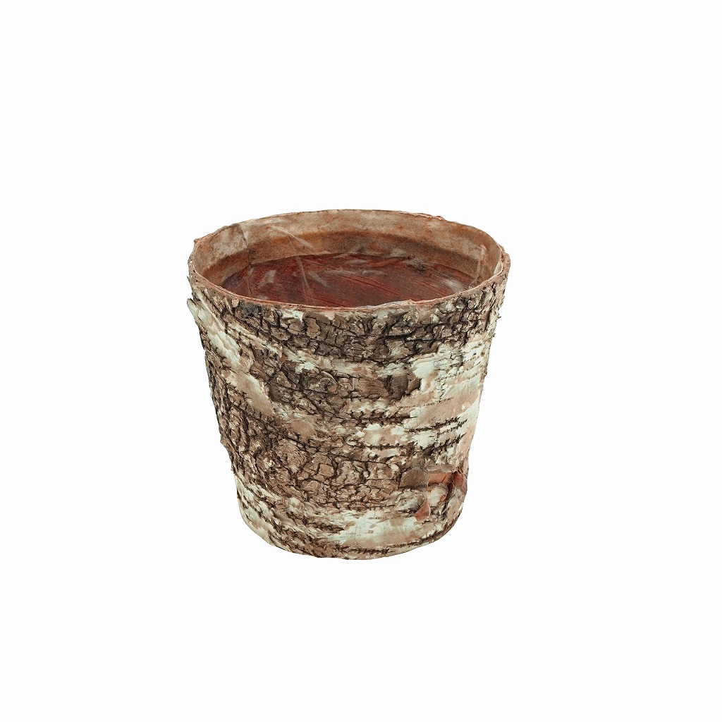 XM-33S,XM-33L/白樺ﾌﾗﾜｰﾎﾟｯﾄ