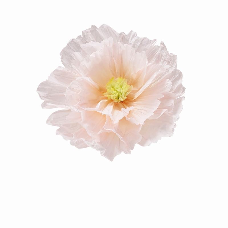 JF-02-180-1/ジャンボフラワー　花飾り