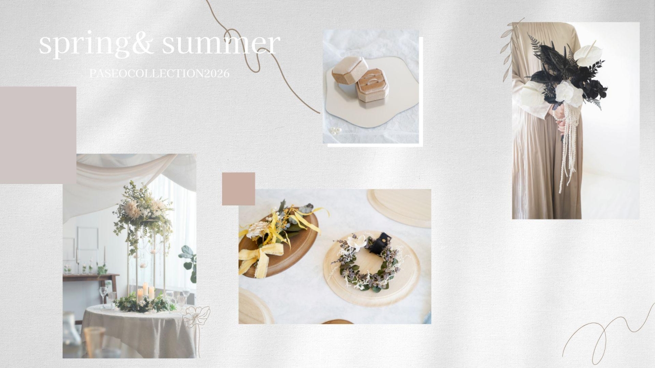 Paseo collection2026