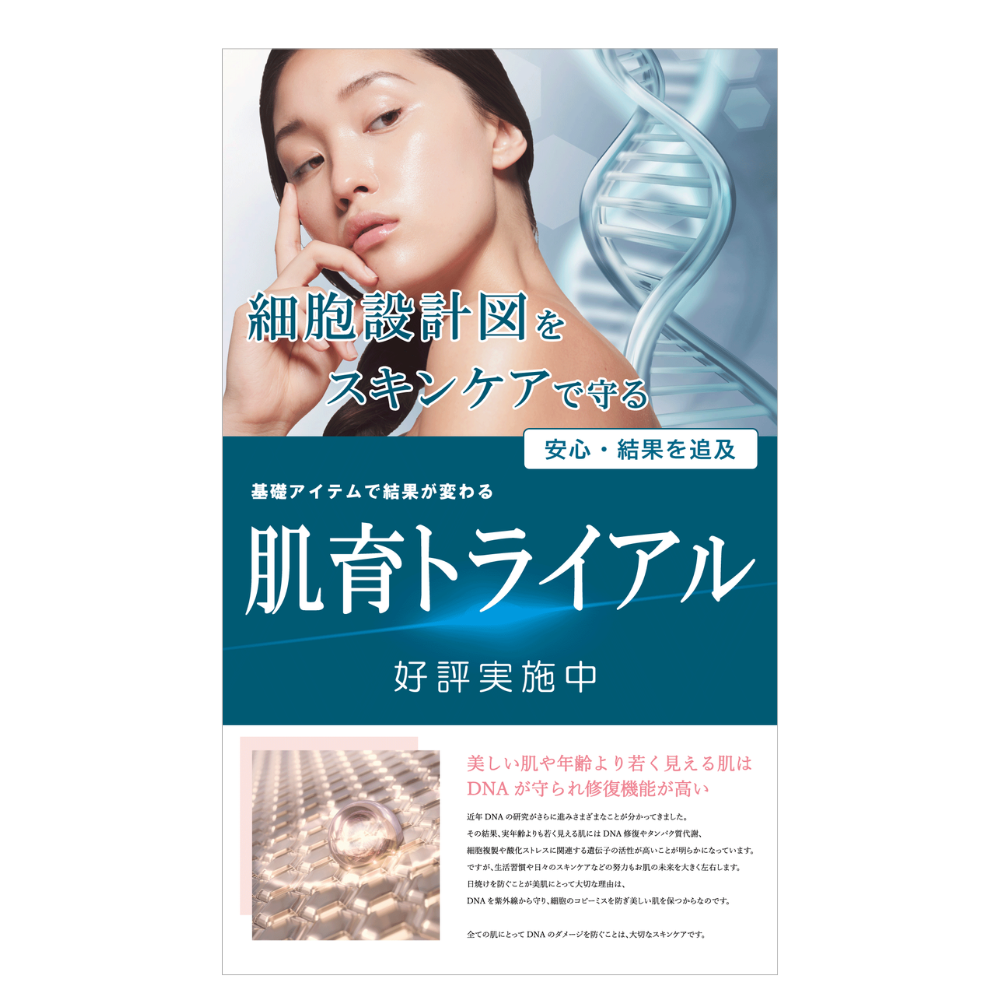【現品限り】パネル：肌育トライアル
