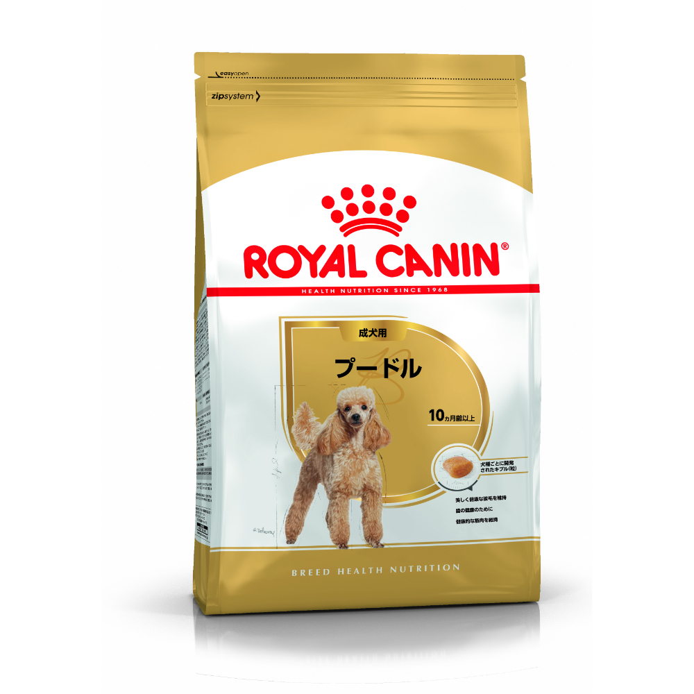 プロ プードル 成犬用