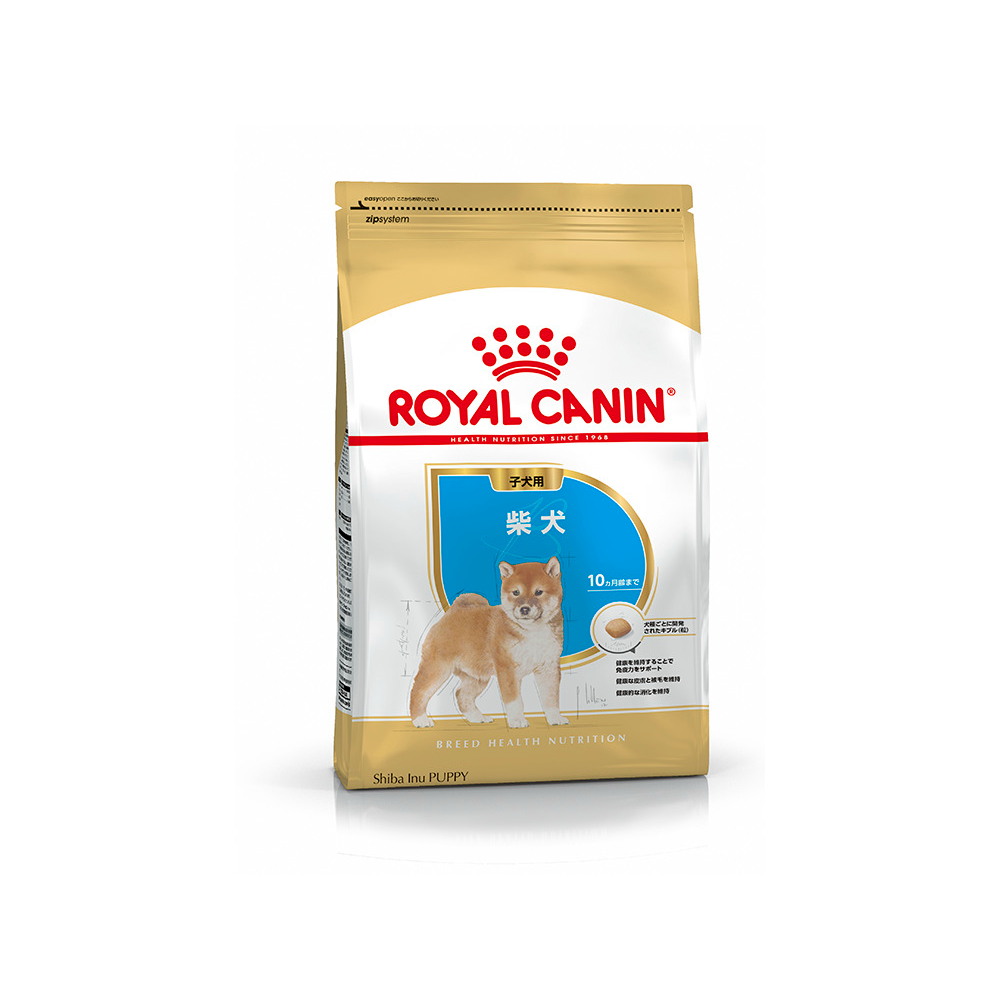 プロ 柴犬 子犬用