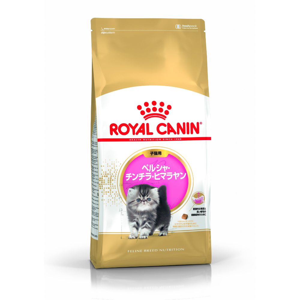 プロ ペルシャ・チンチラ・ヒマラヤン 子猫用