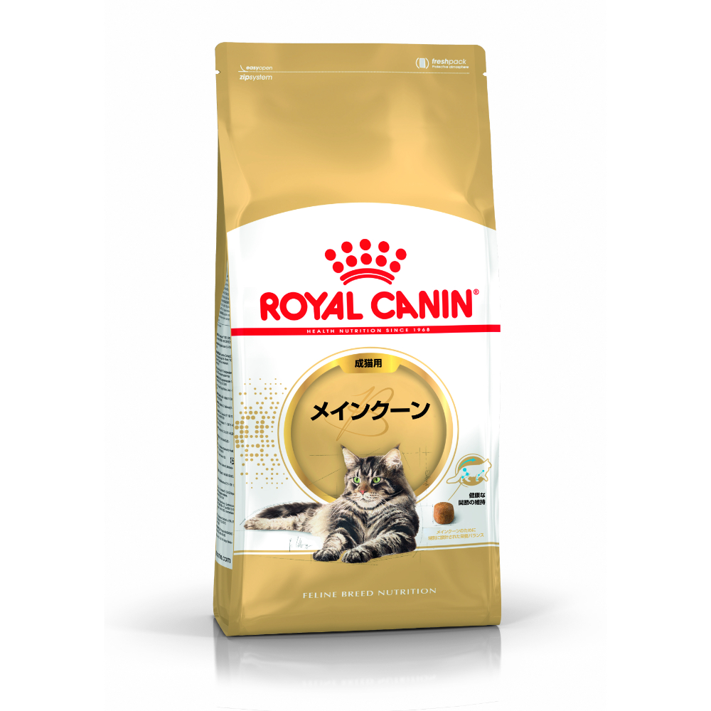 プロ メインクーン 成猫用