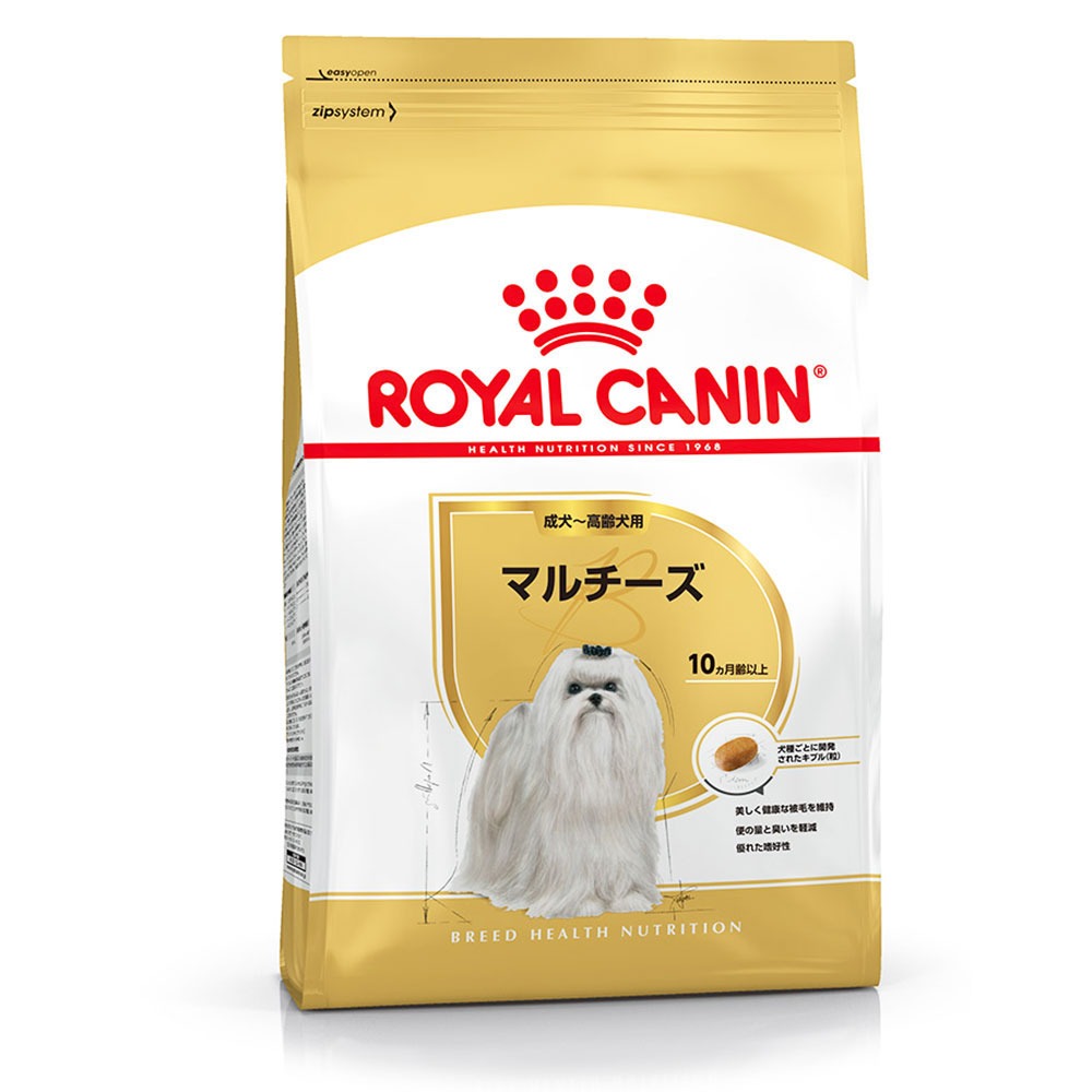 マルチーズ 成犬～高齢犬用