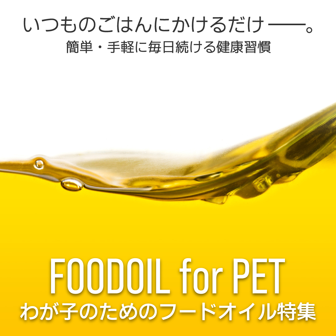 foodoil2025SP
