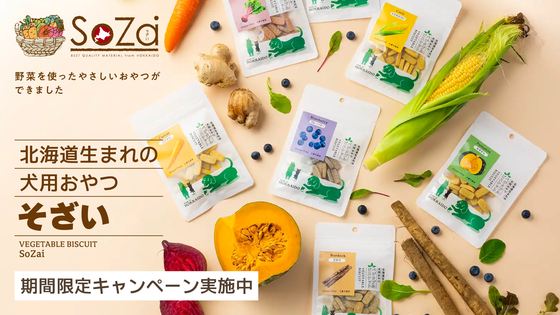 newsozaiPC