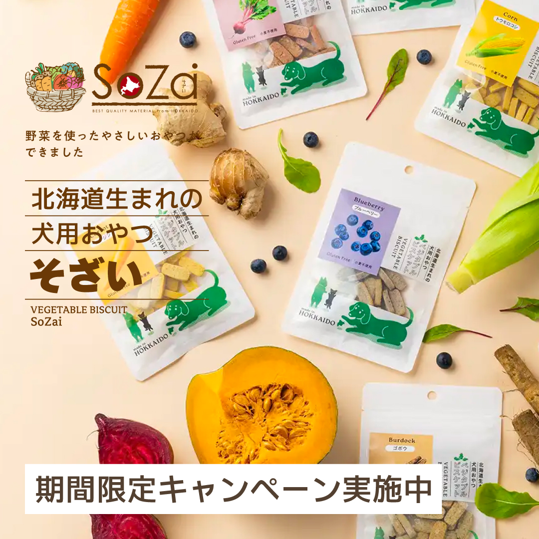 newsozaiSP