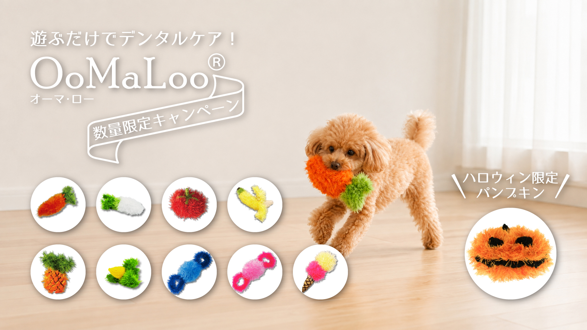 〈遊ぶだけでデンタルケア！〉オーマロー添付キャンペーン