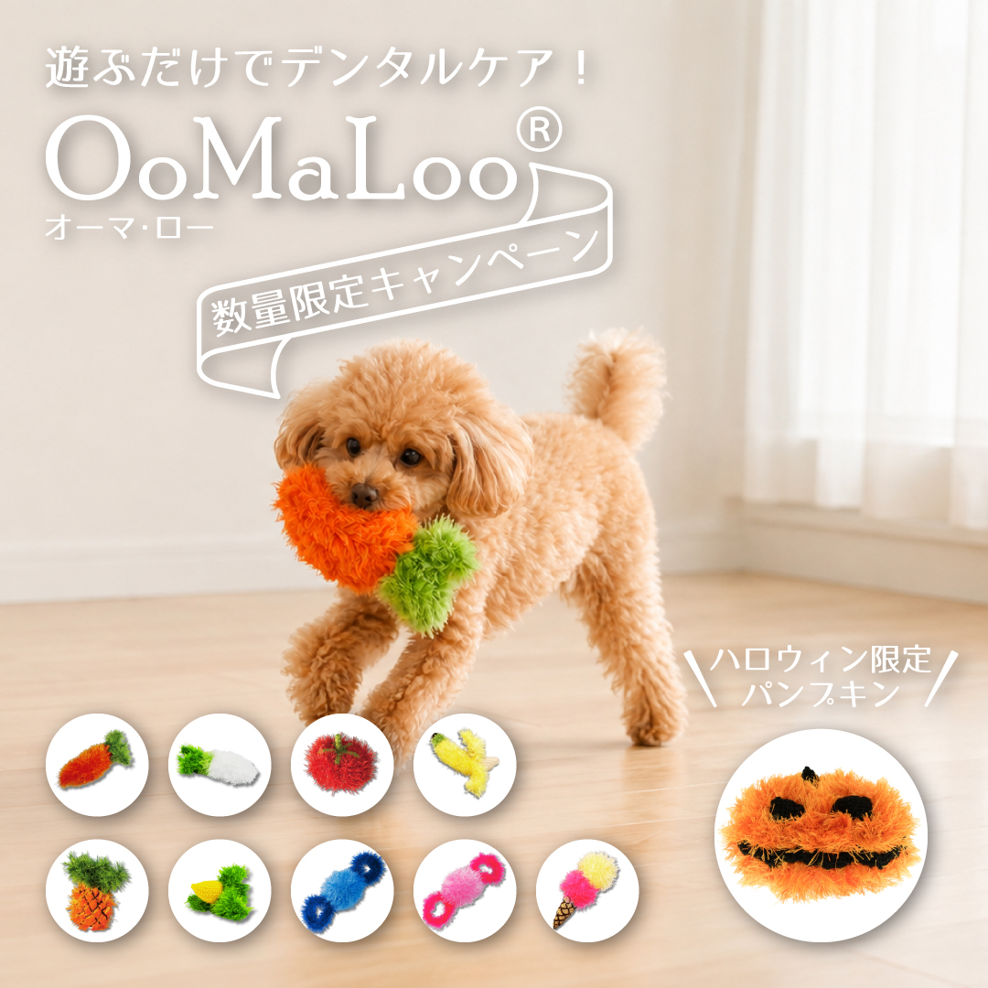 oomaloo2608SP