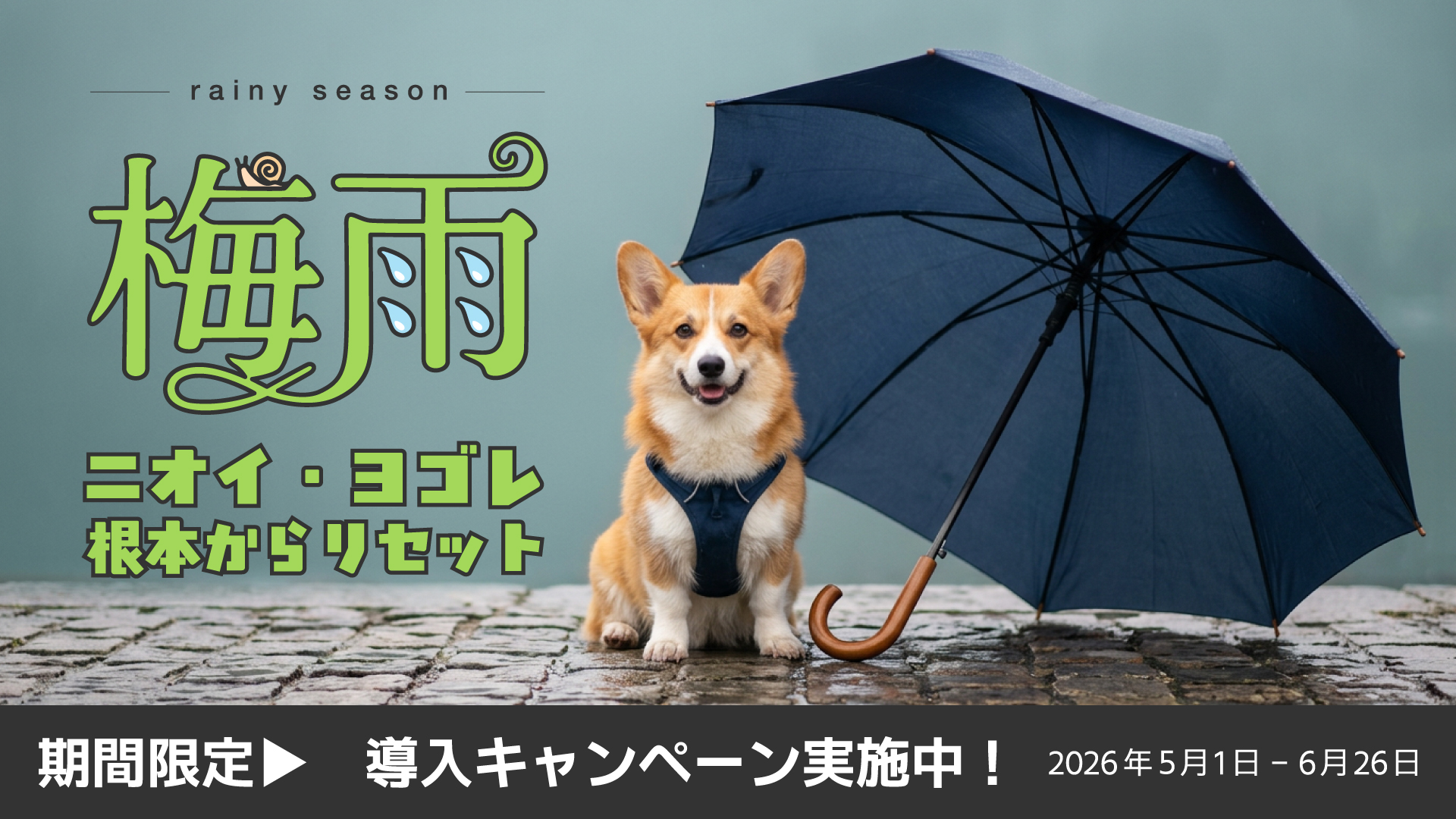 takakura2026rainycp_PC