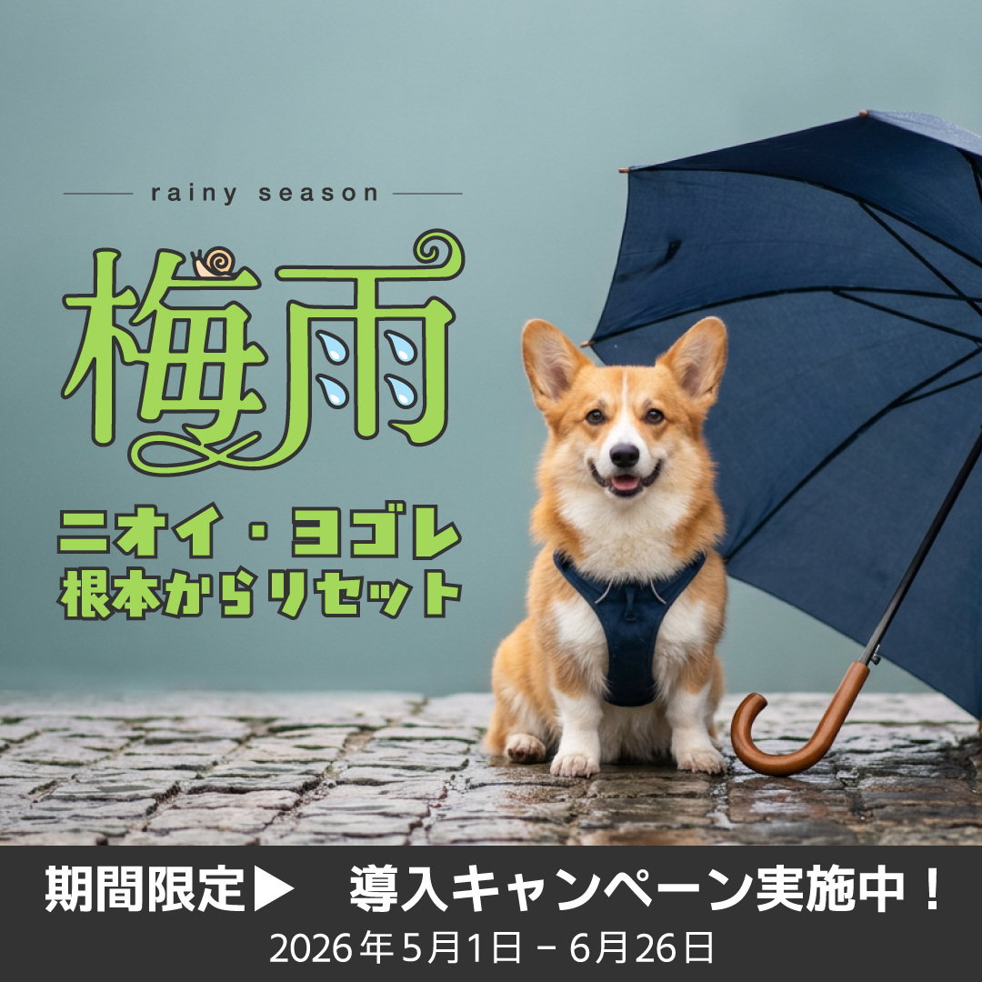 takakura2026rainycp_SP