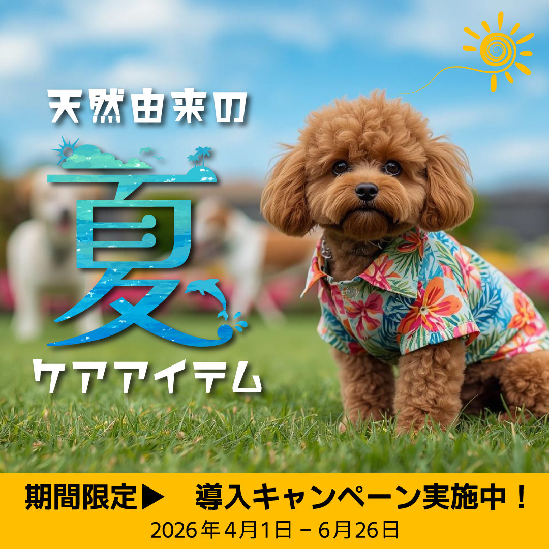 takakura2026summercp_SP