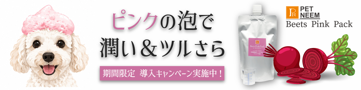 newpnbpp